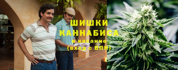 ешки Алексин