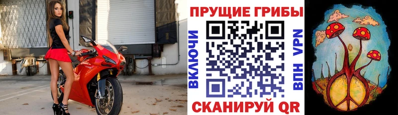 Псилоцибиновые грибы мухоморы  Малаховка 